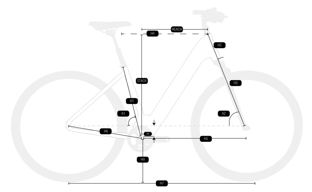 Geometrie